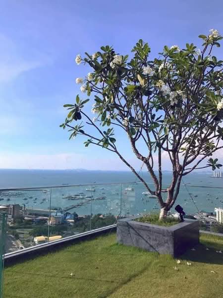 Unixx South Pattaya, Chon Buri (Pattaya), Village No. 12 163, Nong Pru, Bang Lamung (Pattaya), Chon Buri (Pattaya), 1 Bedroom, 35 sqm, Condo For Rent, by Chalisa Kitilimtrakul, 500174733 - DDproperty.com