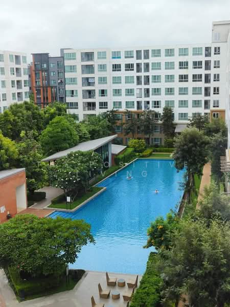 Dcondo Nim, Chiang Mai, 239 Hwy Chiang Mai-Lampang Frontage Road, Fa Ham, Muang Chiang Mai, Chiang Mai, 2 Bedrooms, 60 sqm, Condo For Rent, by The Positive Living, 500174803 - DDproperty.com