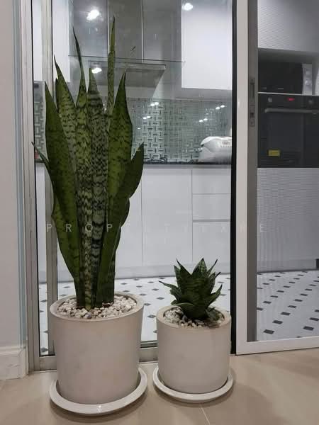 Jamjuree Park Ramintra 39, Bangkok, Sukhaphiban 5 Road, Tha Rang, Bang Khen, Bangkok, 2 Bedrooms, 134 sqm, Single Detached House For Sale, by PropertyExpert, 500174868 - DDproperty.com