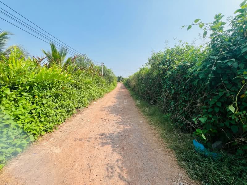 ขาย - ที่ดินลาดใหญ่ สมุทรสงคราม, สมุทรสงคราม