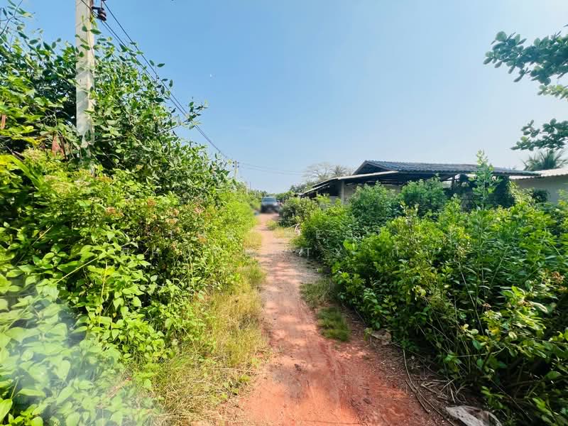 ที่ดินลาดใหญ่ สมุทรสงคราม, Samut Songkhram, Lat Yai, Muang Samut Songkhram, Samut Songkhram, , 400 sqm, Land For Sale, by The Best Property กิ๊ก, 500175048 - DDproperty.com