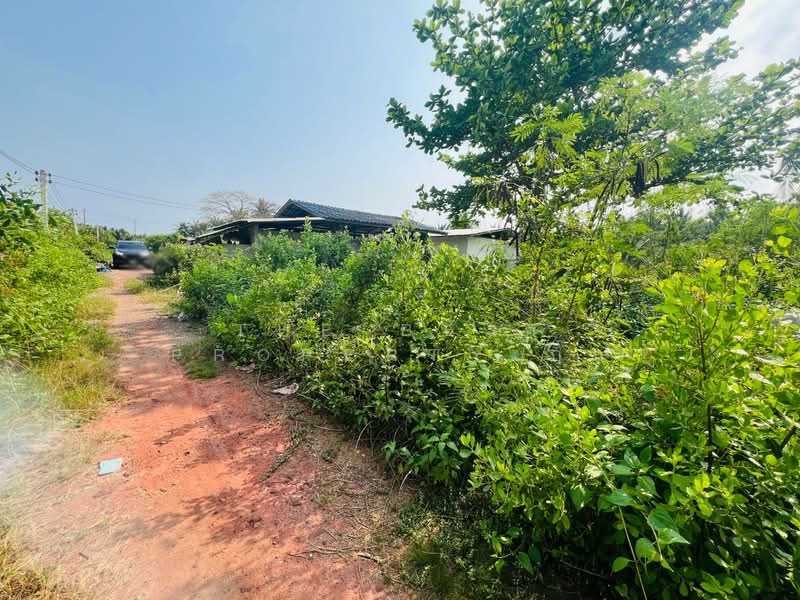 ที่ดินลาดใหญ่ สมุทรสงคราม, Samut Songkhram, Lat Yai, Muang Samut Songkhram, Samut Songkhram, , 400 sqm, Land For Sale, by The Best Property กิ๊ก, 500175048 - DDproperty.com