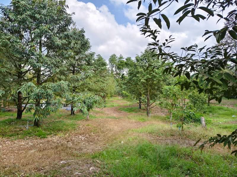 ที่ดินท่าใหม่ จันทบุรี, Chanthaburi, Thung Bencha, Tha Mai, Chanthaburi, , 2,400 sqm, Land For Sale, by The Best Property อีฟ, 500175092 - DDproperty.com