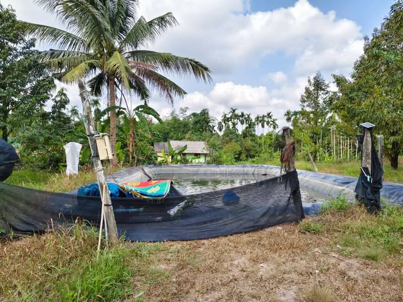 ที่ดินท่าใหม่ จันทบุรี, จันทบุรี, ทุ่งเบญจา, ท่าใหม่, จันทบุรี, 2,400 ตร.ม., ที่ดิน ขาย, โดย The Best Property อีฟ, 500175092 - DDproperty.com