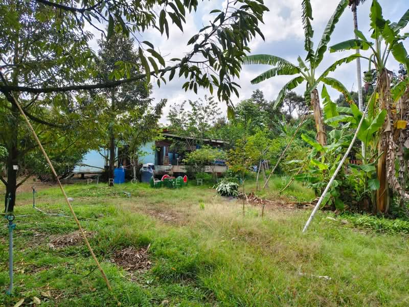 ที่ดินท่าใหม่ จันทบุรี, Chanthaburi, Thung Bencha, Tha Mai, Chanthaburi, , 2,400 sqm, Land For Sale, by The Best Property อีฟ, 500175092 - DDproperty.com