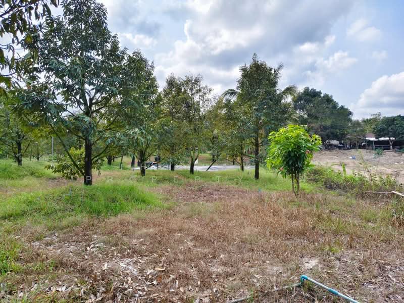 ที่ดินท่าใหม่ จันทบุรี, จันทบุรี, ทุ่งเบญจา, ท่าใหม่, จันทบุรี, 2,400 ตร.ม., ที่ดิน ขาย, โดย The Best Property อีฟ, 500175092 - DDproperty.com