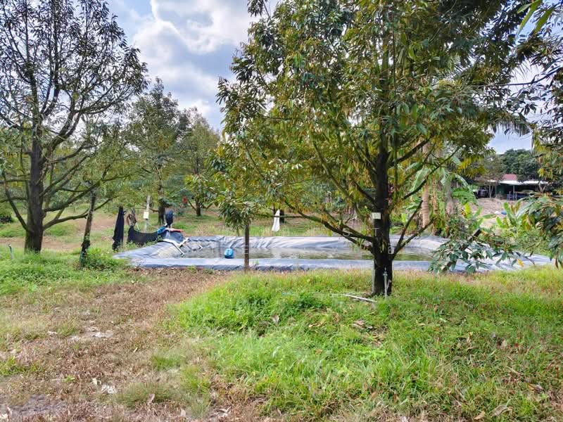 ที่ดินท่าใหม่ จันทบุรี, Chanthaburi, Thung Bencha, Tha Mai, Chanthaburi, , 2,400 sqm, Land For Sale, by The Best Property อีฟ, 500175092 - DDproperty.com