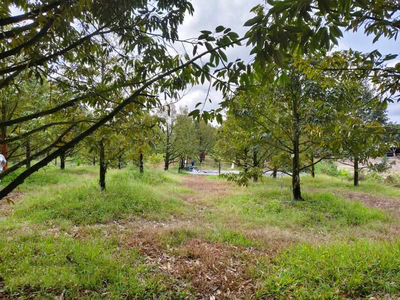 ที่ดินท่าใหม่ จันทบุรี, Chanthaburi, Thung Bencha, Tha Mai, Chanthaburi, , 2,400 sqm, Land For Sale, by The Best Property อีฟ, 500175092 - DDproperty.com