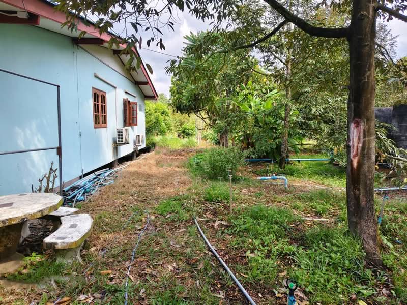 ที่ดินท่าใหม่ จันทบุรี, Chanthaburi, Thung Bencha, Tha Mai, Chanthaburi, , 2,400 sqm, Land For Sale, by The Best Property อีฟ, 500175092 - DDproperty.com