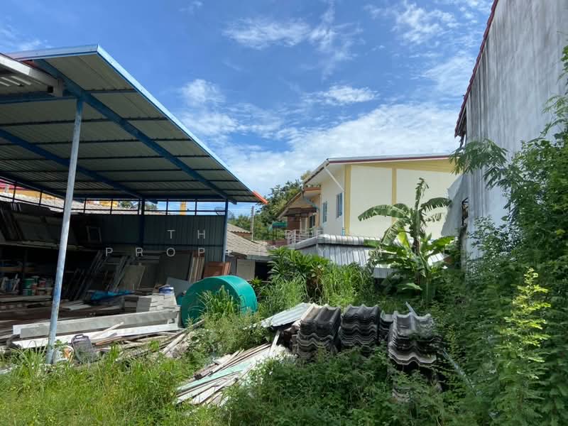 ที่ดินเสม็ด ชลบุรี, Chon Buri (Pattaya), Samed, Muang Chon Buri, Chon Buri (Pattaya), , 200 sqm, Land For Sale, by The Best Property หญิง, 500175143 - DDproperty.com