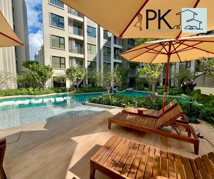 The Origin Centre Phuket, Phuket, Mueang Naka Road, Wichit, Muang Phuket, Phuket, Studio, 28 sqm, Condo For Rent, by PK LIFE Property, 500175170 - DDproperty.com