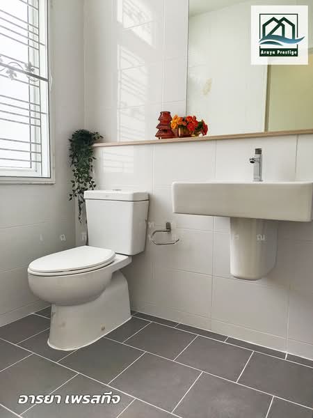 Citysense Bangna KM.10, Samut Prakan, Bangna Road, Bangphli Yai, Bang Plee, Samut Prakan, 3 Bedrooms, 95 sqm, Townhouse For Sale, by วิสุทธินี เฉลิมสินสุวรรณ, 500175206 - DDproperty.com