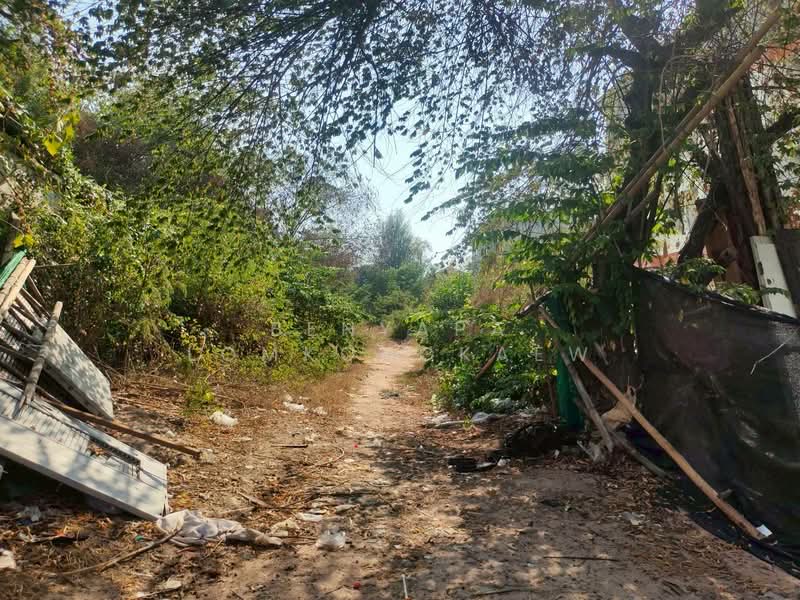 Land for sale Pattaya, Chon Buri (Pattaya), โพธิสาร, Na Kloe, Bang Lamung (Pattaya), Chon Buri (Pattaya), , 4,772 sqm, Land For Sale, by Benyapa Lomkongkaew, 500175227 - DDproperty.com