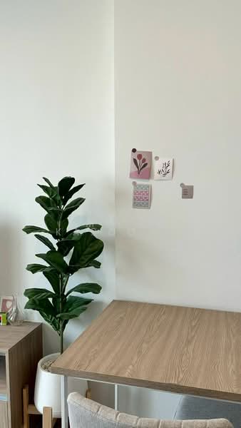 Niche Mono Sukhumvit-Bearing : นิช โมโน สุขุมวิท - แบริ่ง, สมุทรปราการ, ซอย สุขุมวิท 70, สำโรงเหนือ, เมืองสมุทรปราการ, สมุทรปราการ, 32 ตร.ม., คอนโด ให้เช่า, โดย Amwika Karoonsombat, 500175233 - DDproperty.com