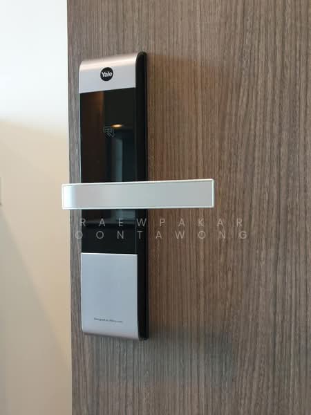 Whizdom Essence : วิสซ์ดอม เอสเซ้นส์, กรุงเทพ, 5 ซอย ปิยะบุตร์ 1, บางจาก, พระโขนง, กรุงเทพ, 34 ตร.ม., คอนโด ให้เช่า, โดย Praewpakar Soontawong, 500175268 - DDproperty.com