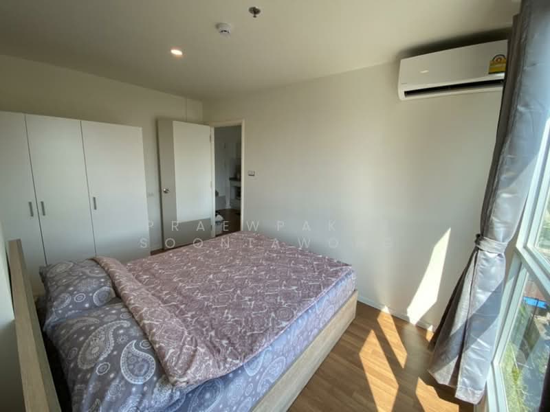 The Selected Kaset-Ngam Wongwan, Bangkok, 18 Ngamwongwan Road, Lat Yao, Chatuchak, Bangkok, 1 Bedroom, 28 sqm, Condo For Rent, by Praewpakar Soontawong, 500175270 - DDproperty.com