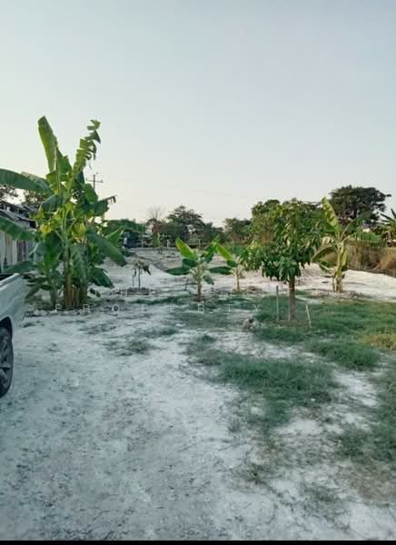 ที่ดินแพรกษา สมุทรปราการ, สมุทรปราการ, แพรกษา, เมืองสมุทรปราการ, สมุทรปราการ, 712 ตร.ม., ที่ดิน ขาย, โดย The Best Property ขวัญ, 500175283 - DDproperty.com
