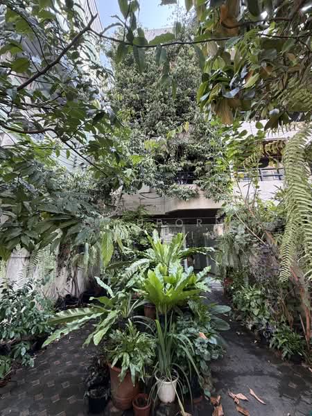 ทาวน์โฮม 4 ชั้น ทองหล่อ ซอย 7, Bangkok, Khlong Tan Nua, Watthana, Bangkok, 6 Bedrooms, 400 sqm, Townhouse For Rent, by Jatuporn Amonsin, 500175325 - DDproperty.com