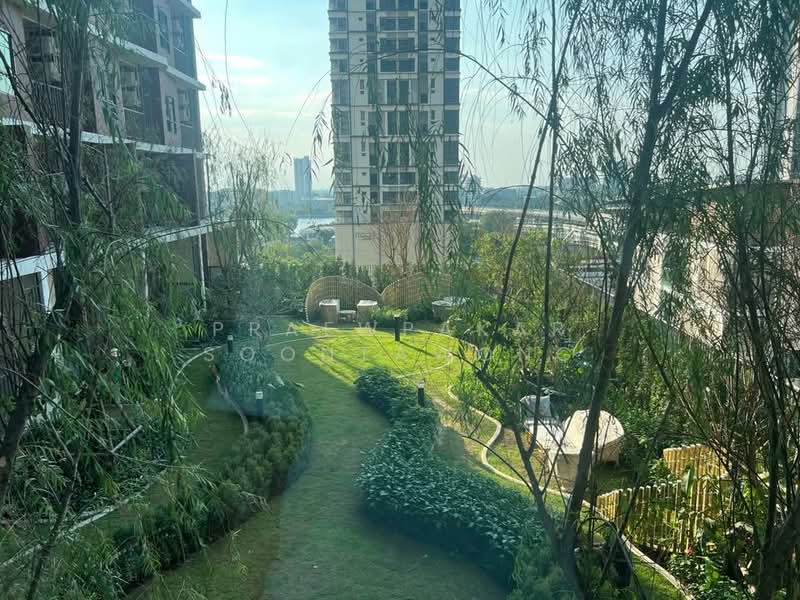 Niche Mono Bangpo, Bangkok, Bang Sue, Bang Sue, Bangkok, 1 Bedroom, 27 sqm, Condo For Rent, by Praewpakar Soontawong, 500175341 - DDproperty.com