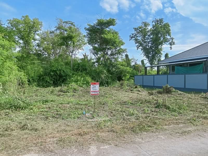 For Sale - ที่ดินบางคนที สมุทรสงคราม, Samut Songkhram