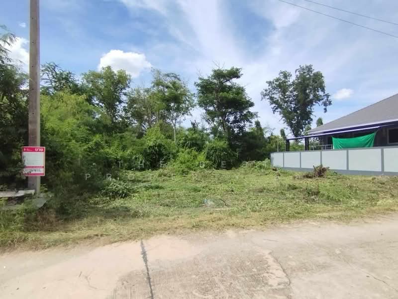For Sale - ที่ดินบางคนที สมุทรสงคราม, Samut Songkhram