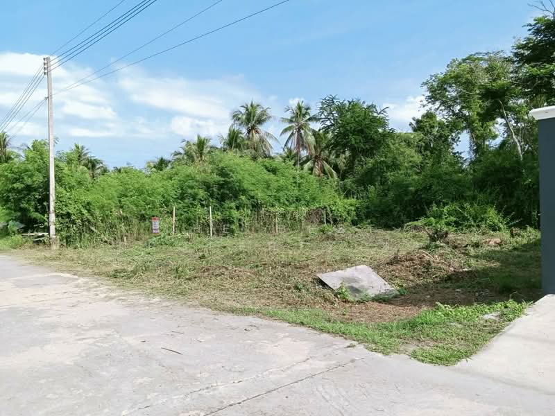 For Sale - ที่ดินบางคนที สมุทรสงคราม, Samut Songkhram