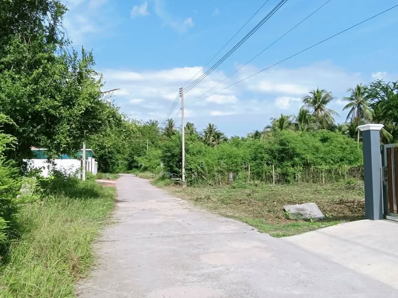 ที่ดินบางคนที สมุทรสงคราม, สมุทรสงคราม, บางพรม, บางคนที, สมุทรสงคราม, 356 ตร.ม., ที่ดิน ขาย, โดย The Best Property อ้อ, 500175376 - DDproperty.com