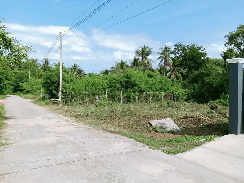 For Sale - ที่ดินบางคนที สมุทรสงคราม, Samut Songkhram