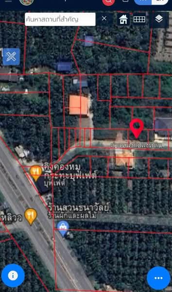 ที่ดินบางคนที สมุทรสงคราม, สมุทรสงคราม, บางพรม, บางคนที, สมุทรสงคราม, 356 ตร.ม., ที่ดิน ขาย, โดย The Best Property อ้อ, 500175376 - DDproperty.com