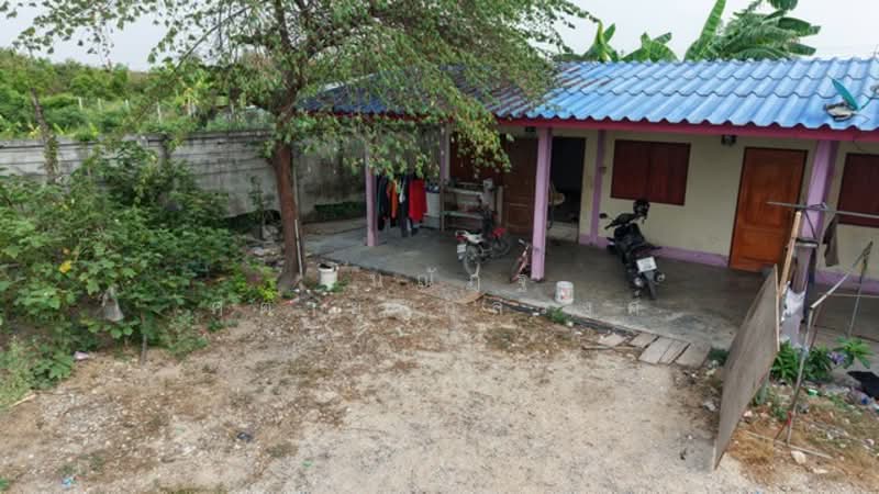 กำแพงแสน, นครปฐม, กำแพงแสน, กำแพงแสน, นครปฐม, 15,120 ตร.ม., ที่ดิน ขาย, โดย ธนณัฎฐ์ ศตายุสกุลวงศ์, 500175378 - DDproperty.com