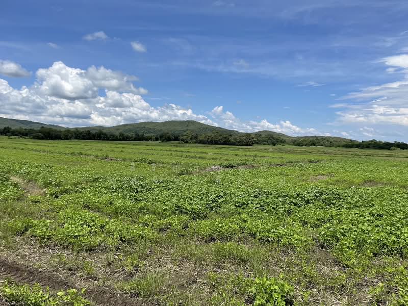 ขายที่ดินเปล่าโฉนด ใกล้ถนนทล.สาย 21 เพียง 1 กม.บึงสามพัน เพชรบูรณ์ ใกล้เคียงมีโรงแรม ร้านกาแฟ WRK002, Phetchabun, Sap Samo Thot, Buang Sam Phan, Phetchabun, , 33,684 sqm, Land For Sale, by สิริกาญจน์ กุลจิราธีรัตม์, 500175447 - DDproperty.com