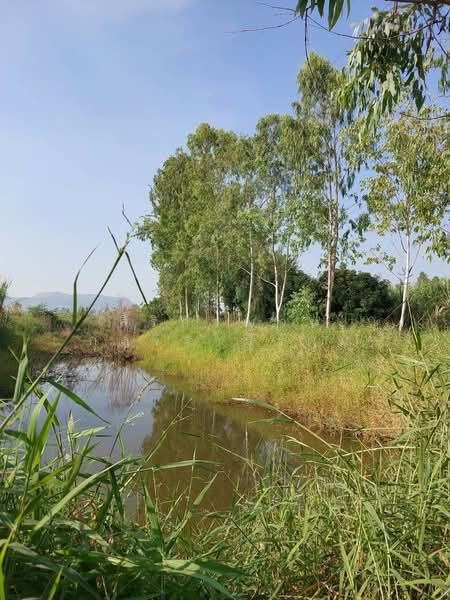 ขายที่ดินเปล่าโฉนด ใกล้ถนนทล.สาย 21 เพียง 1 กม.บึงสามพัน เพชรบูรณ์ ใกล้เคียงมีโรงแรม ร้านกาแฟ WRK002, เพชรบูรณ์, ซับสมอทอด, บึงสามพัน, เพชรบูรณ์, 33,684 ตร.ม., ที่ดิน ขาย, โดย สิริกาญจน์ กุลจิราธีรัตม์, 500175447 - DDproperty.com