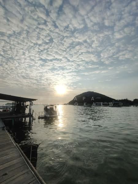 Pattaya Posh : พัทยา พอช, ชลบุรี, 88 ถนน พัทยาเหนือ, เมืองพัทยา, บางละมุง, บางละมุง, ชลบุรี, 3,160 ตร.ม., ที่ดิน ขาย, โดย Benyapa Lomkongkaew, 500175463 - DDproperty.com