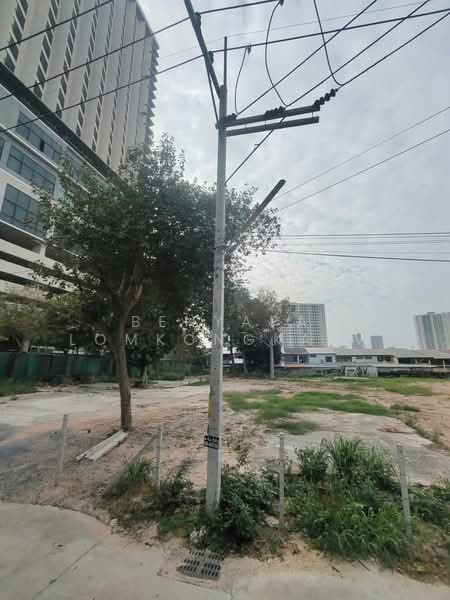 Pattaya Posh : พัทยา พอช, ชลบุรี, 88 ถนน พัทยาเหนือ, เมืองพัทยา, บางละมุง, บางละมุง, ชลบุรี, 3,160 ตร.ม., ที่ดิน ขาย, โดย Benyapa Lomkongkaew, 500175463 - DDproperty.com