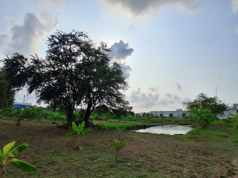 ให้เช่าที่ดินระยะสั้น/ยาว 20 ไร่ สมุทรปราการ ถนนสายลวด-ท้ายบ้าน ติดห้างแมคโคร โลตัส (แบ่งเช่าได้), สมุทรปราการ, สายลวด, ปากน้ำ, เมืองสมุทรปราการ, สมุทรปราการ, 32,000 ตร.ม., ที่ดิน ให้เช่า, โดย Sasialinda (Muay), 500175559 - DDproperty.com