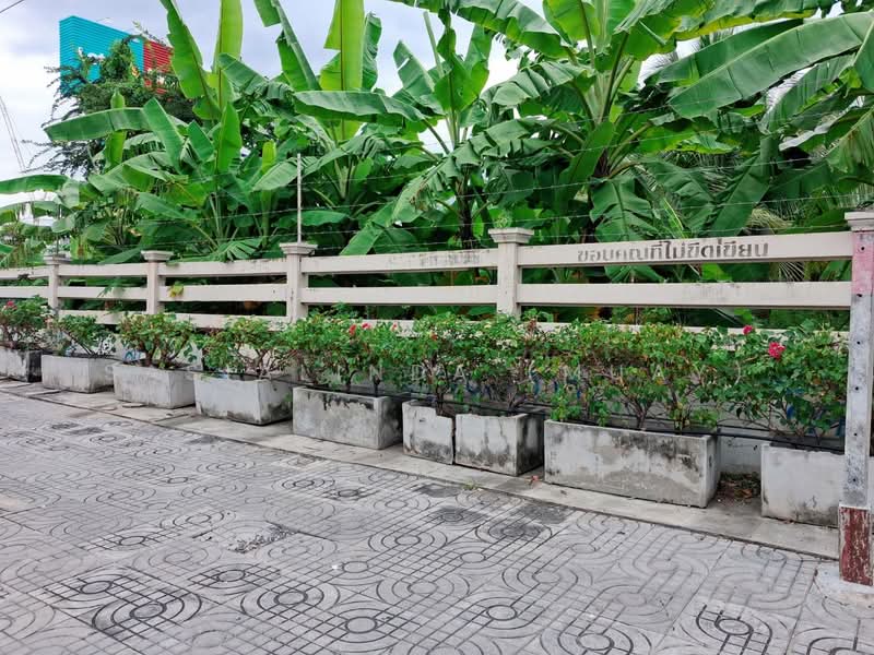 ให้เช่าที่ดินระยะสั้น/ยาว 20 ไร่ สมุทรปราการ ถนนสายลวด-ท้ายบ้าน ติดห้างแมคโคร โลตัส (แบ่งเช่าได้), สมุทรปราการ, สายลวด, ปากน้ำ, เมืองสมุทรปราการ, สมุทรปราการ, 32,000 ตร.ม., ที่ดิน ให้เช่า, โดย Sasialinda (Muay), 500175559 - DDproperty.com