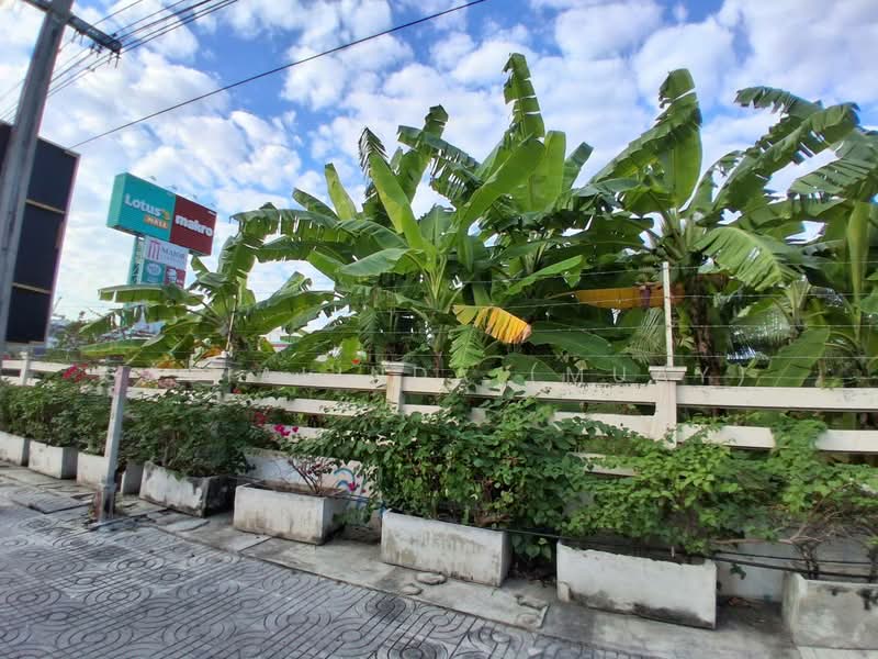 Land for lease 20 rai Short / Long Term Samutprakarn, Samut Prakan, สายลวด, Pak Nam, Muang Samut Prakarn, Samut Prakan, , 32,000 sqm, Land For Rent, by Sasialinda (Muay), 500175559 - DDproperty.com