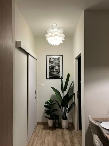 Niche Mono Sukhumvit-Bearing, Samut Prakan, Posaya Non Alley, Samrong Nua, Muang Samut Prakarn, Samut Prakan, 2 Bedrooms, 50 sqm, Condo For Rent, by Thiti Boonchurn, 500175604 - DDproperty.com