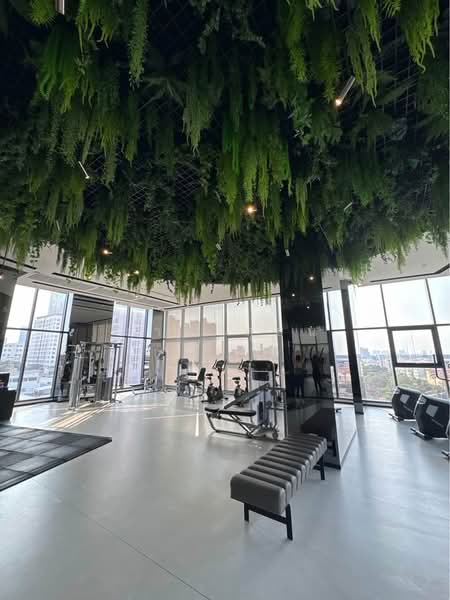 IDEO Sukhumvit Rama 4, Bangkok, Soi Sukhumvit 44, Sukhumvit Road, Phra Kanong, Khlong Toei, Bangkok, 1 Bedroom, 45 sqm, Condo For Sale, by มาลี สุธน, 500175609 - DDproperty.com