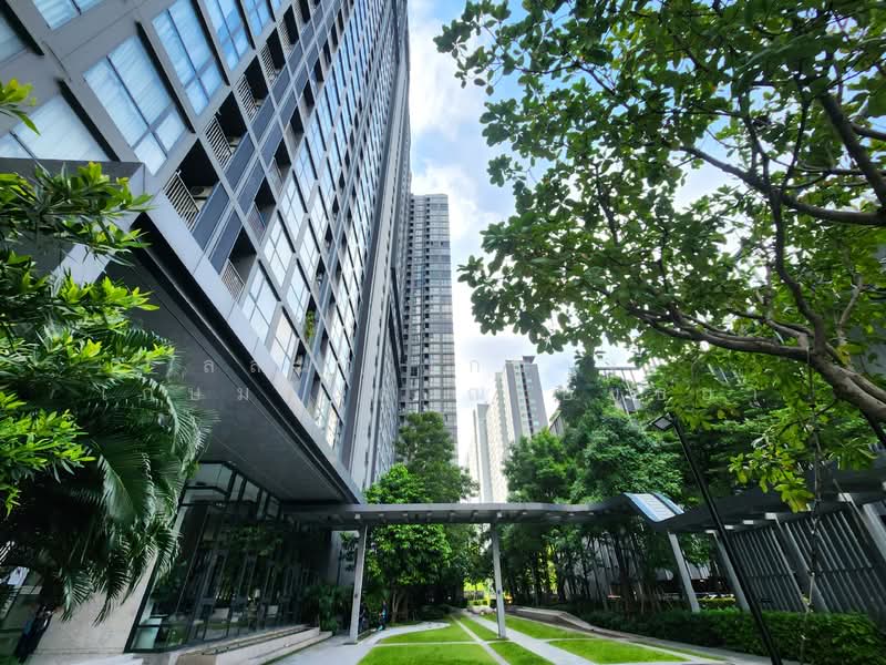 The Line Wongsawang, Bangkok, 1333 Bangkok - Nonthaburi Rd., Wong Sawang, Bang Sue, Bangkok, 1 Bedroom, 37 sqm, Condo For Rent, by Lalana (Kwang) Kashemsanta, 500175633 - DDproperty.com