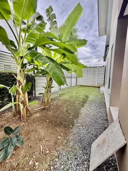 Eco Haus Wongwaen-Lamlukka, Pathum Thani, Bung Kham Proi, Lam Luk Ka, Pathum Thani, 4 Bedrooms, 159 sqm, Single Detached House For Sale, by NICHARAT PIMONPONGVUT, 500175702 - DDproperty.com