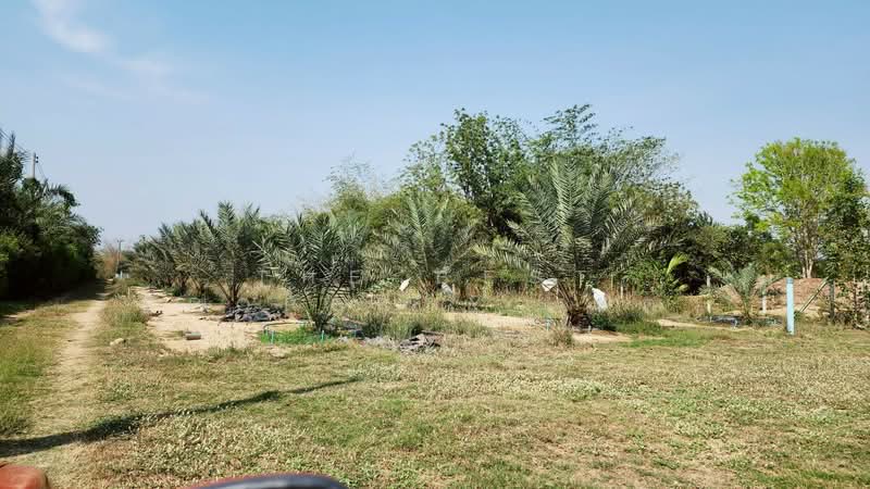 ที่ดินพร้อมสิ่งปลูกสร้างท่ายาง เพชรบุรี, Phetchaburi, Wang Khrai, Tha Yang, Phetchaburi, , 8,000 sqm, Land For Sale, by The Best Property  แต้ว, 500175722 - DDproperty.com