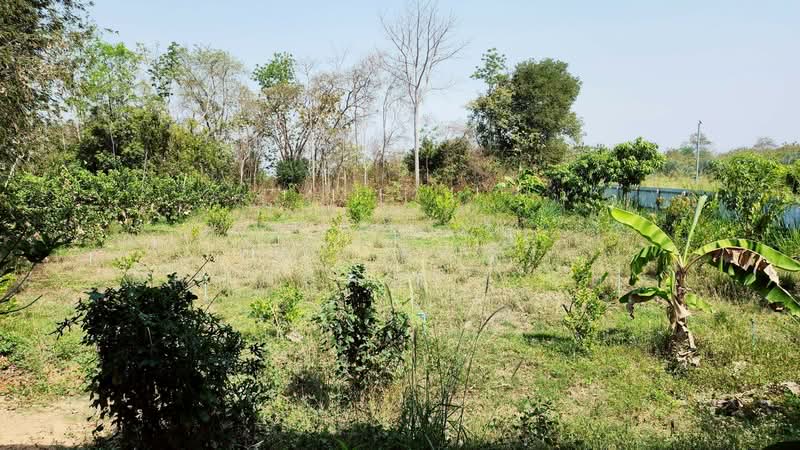 ที่ดินพร้อมสิ่งปลูกสร้างท่ายาง เพชรบุรี, Phetchaburi, Wang Khrai, Tha Yang, Phetchaburi, , 8,000 sqm, Land For Sale, by The Best Property  แต้ว, 500175722 - DDproperty.com