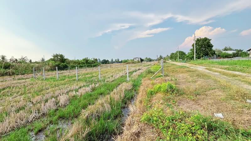 For Sale - ที่ดินลาดกระบัง กรุงเทพมหานคร, Bangkok