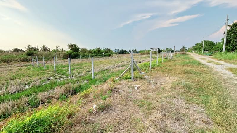 For Sale - ที่ดินลาดกระบัง กรุงเทพมหานคร, Bangkok