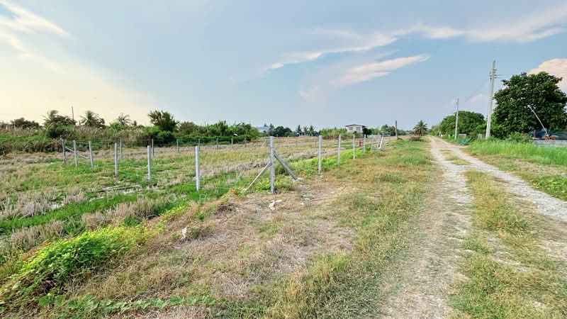 For Sale - ที่ดินลาดกระบัง กรุงเทพมหานคร, Bangkok