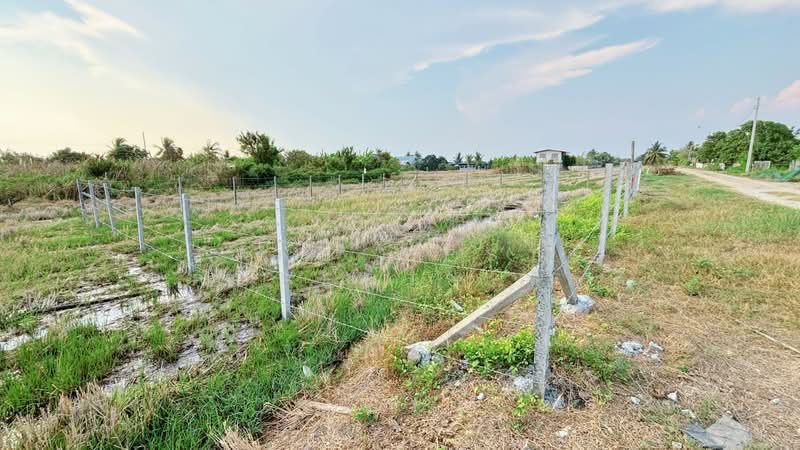 ที่ดินลาดกระบัง กรุงเทพมหานคร, กรุงเทพ, ขุมทอง, ลาดกระบัง, กรุงเทพ, 400 ตร.ม., ที่ดิน ขาย, โดย The Best Property ลิลลี่, 500175771 - DDproperty.com