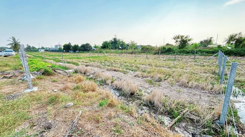 For Sale - ที่ดินลาดกระบัง กรุงเทพมหานคร, Bangkok