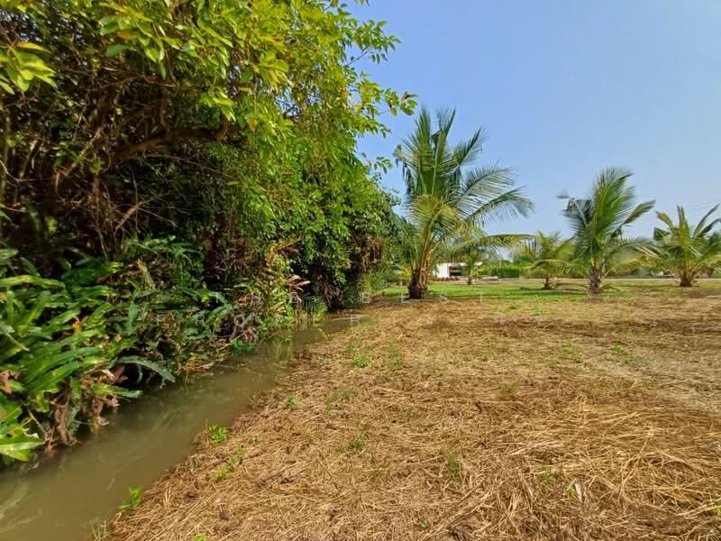 ที่ดินบางขันแตก สมุทรสงคราม, Samut Songkhram, Bang Khan Taek, Muang Samut Songkhram, Samut Songkhram, , 2,400 sqm, Land For Sale, by The Best Property โจ้, 500175778 - DDproperty.com