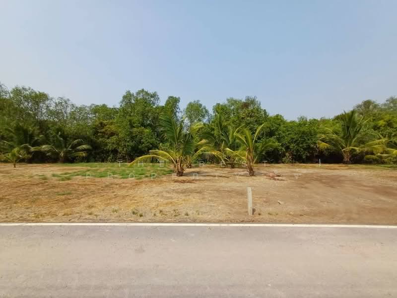 ที่ดินบางขันแตก สมุทรสงคราม, Samut Songkhram, Bang Khan Taek, Muang Samut Songkhram, Samut Songkhram, , 2,400 sqm, Land For Sale, by The Best Property โจ้, 500175778 - DDproperty.com
